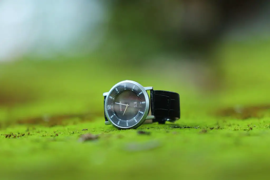 Citizen watch laid in a field